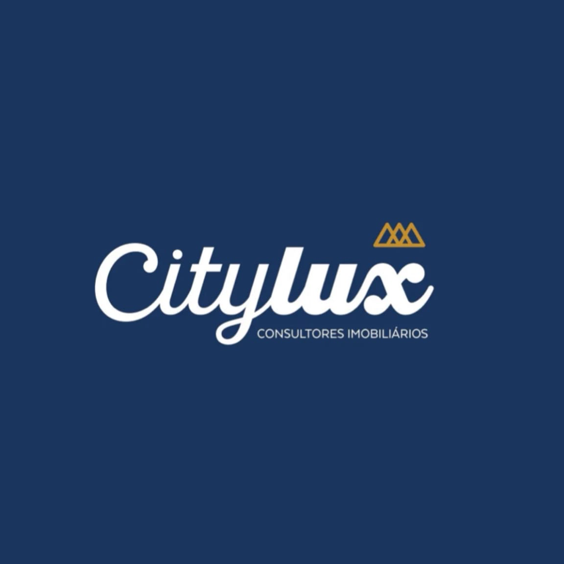 citylux-properties-img
